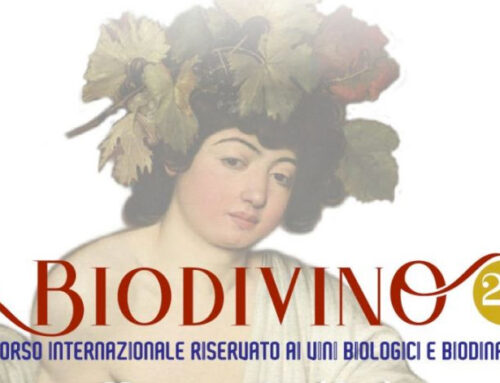 Biodivino 2022: il concorso fa tappa in Sicilia