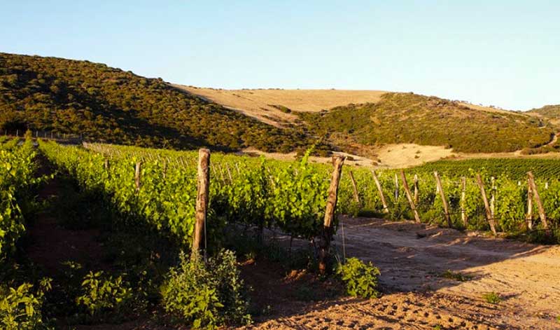 Paesaggi rurali dell'Asinara